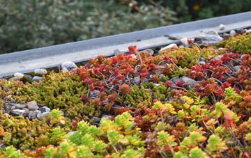 the cost of Haynes West End green roof installation