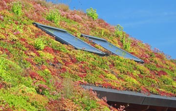 Haynes West End living roof systems
