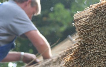 professional Haynes West End thatchers