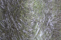 Haynes West End fibreglass roof work